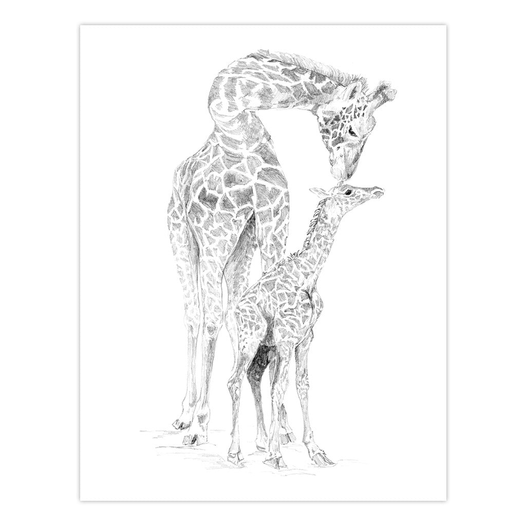 AVS-SME214 | Sketching Made Easy™ 21pc 8" x 10" Zoo Animals 4 Project Box Set
