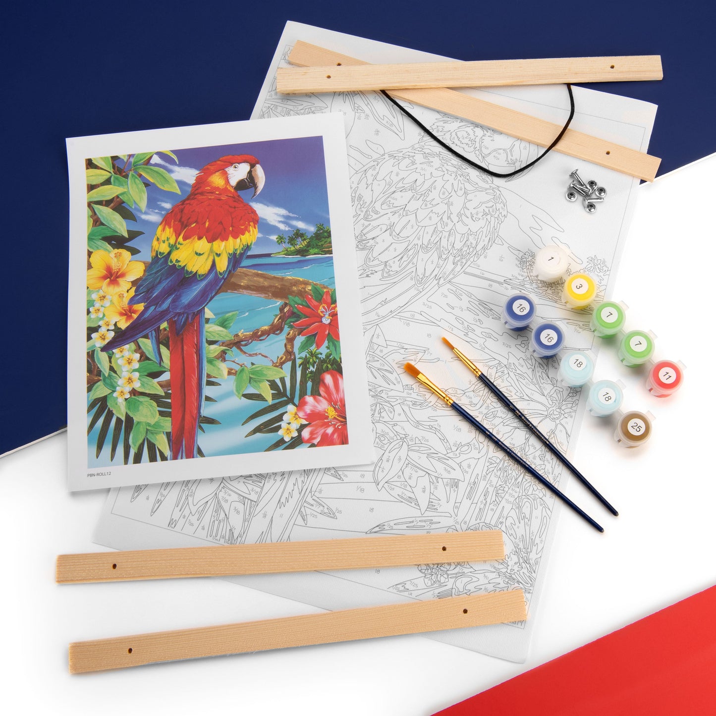 PBN-ROLL12 - Painting by numbers™ 27pc 12" x 16" Red Scarlet Macaw Canvas glam