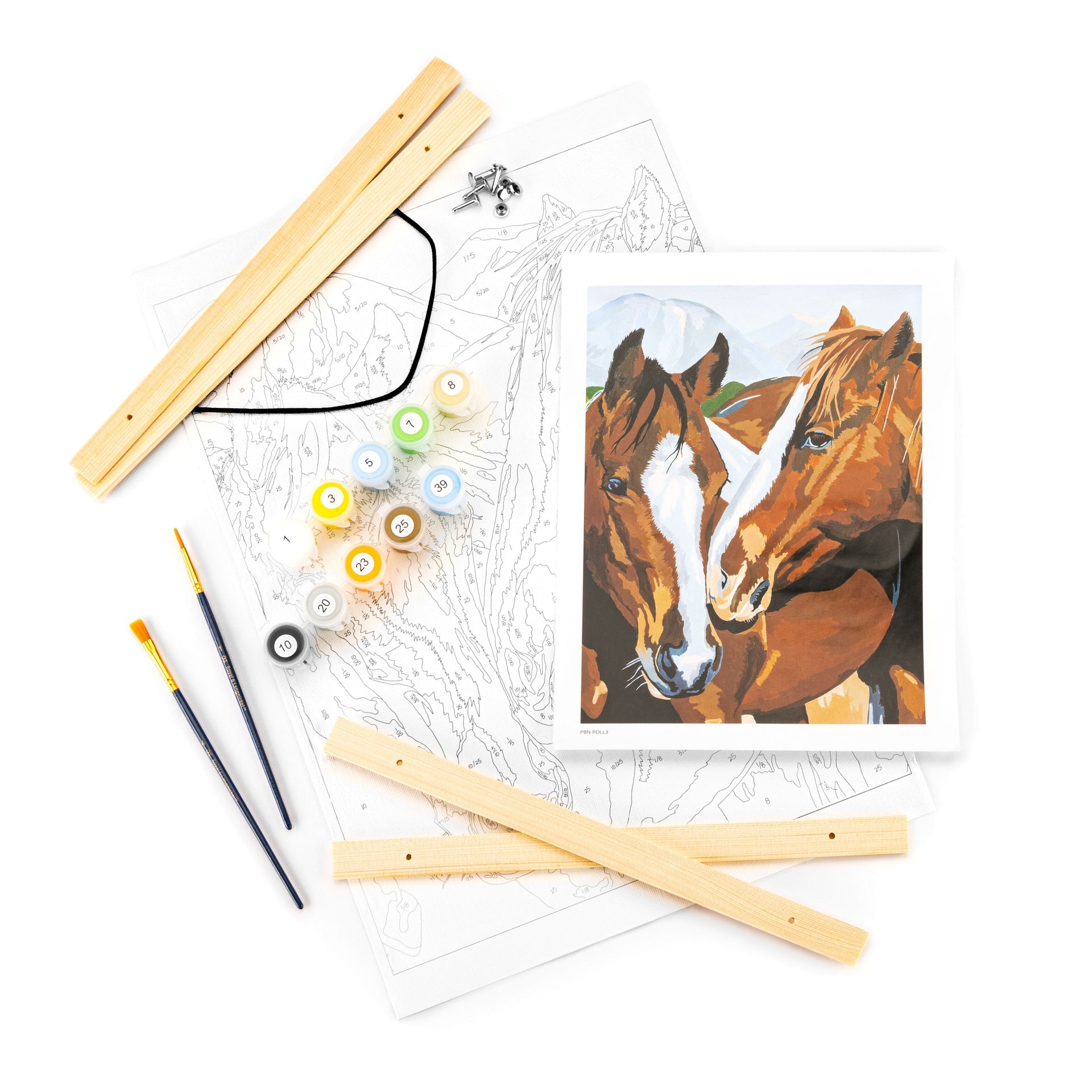 PBN-ROLL3 - Painting by numbers™ 27pc 12" x 16" Making Friends Canvas