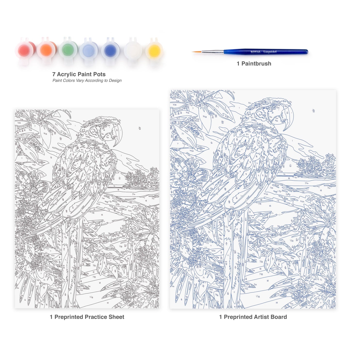 PJS92 | Painting by numbers™ 10pc 8.75" x 11.375" Red Scarlet Macaw Painting Project