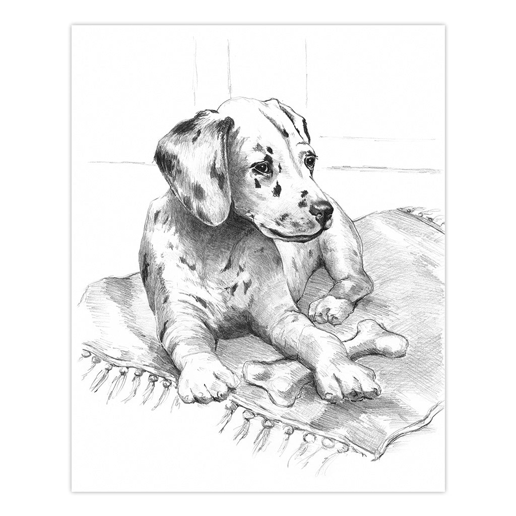 SKBN21 | Sketching Made Easy™ Dalmation Pup 10pc 8.75" x 11.75" Sketching Art Project