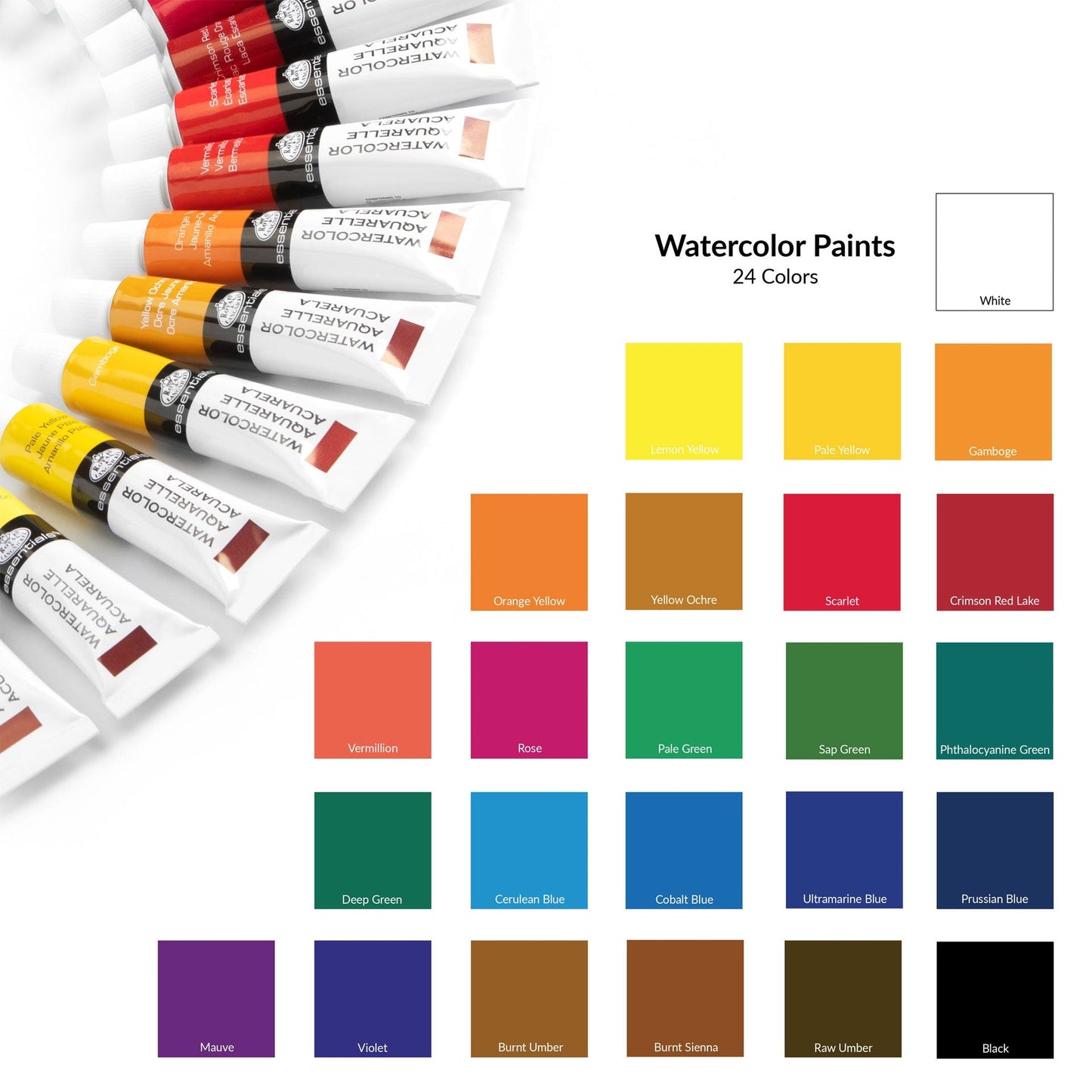 WAT Series | Watercolor Paint Packs with Brushes - 12 ml