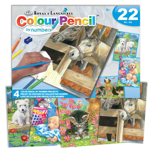 AVS-CPN219 - Colour Pencil by numbers™ 22pc 8" x 10" Animals 4 Project Box Set