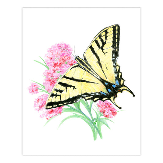 AVS-DME202 | Drawing Made Easy™ 26pc 8" x 10" Butterflies 4 Project Box Set