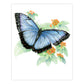 AVS-DME202 | Drawing Made Easy™ 26pc 8" x 10" Butterflies 4 Project Box Set