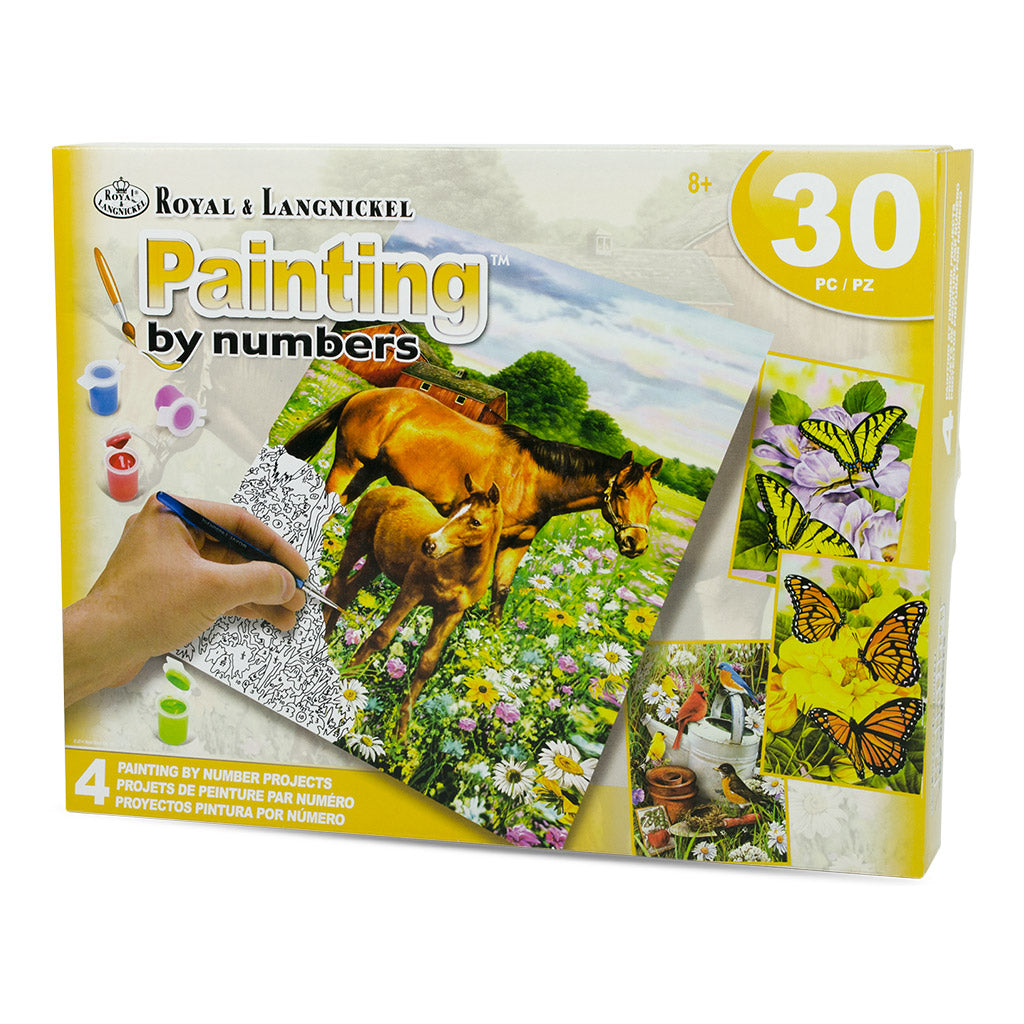 AVS-PBN210 - Painting by numbers™ 30pc 8" x 10" Fields 4 Project Box Set