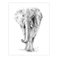 AVS-SME214 | Sketching Made Easy™ 21pc 8" x 10" Zoo Animals 4 Project Box Set