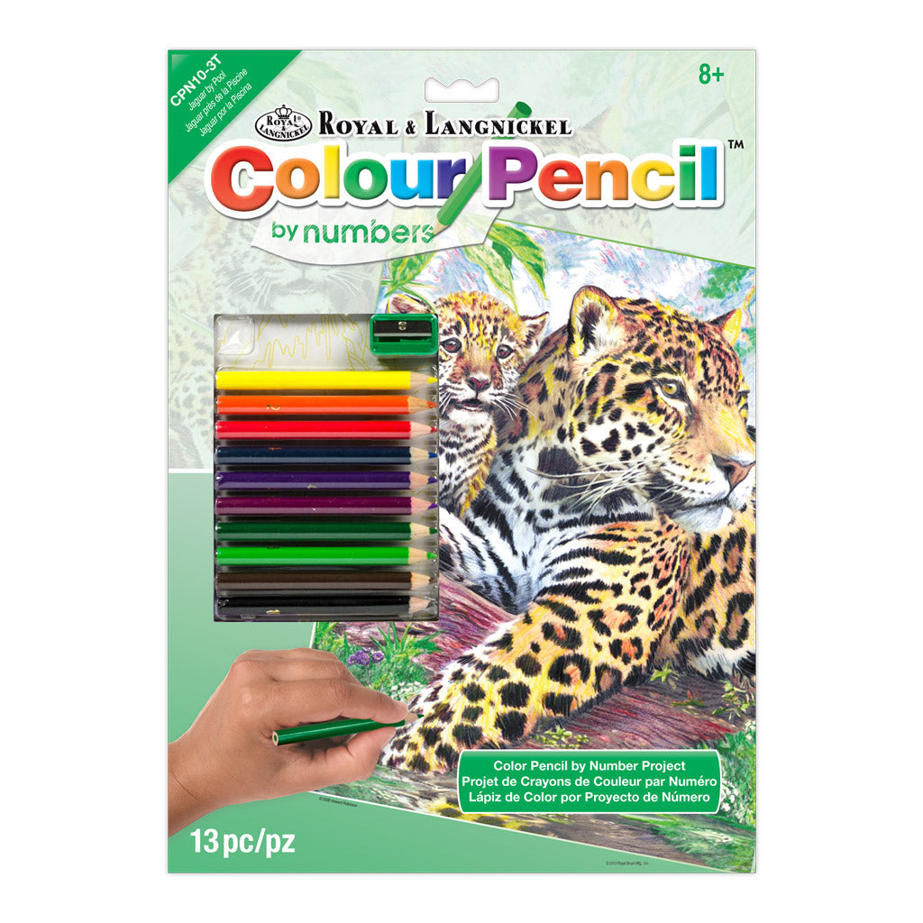 CPN10 - Colour Pencil by numbers™ 13pc 8.75" x 11.75" Jaguar by Pool Project