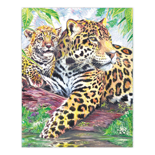 CPN10 | Colour Pencil by numbers™ 13pc 8.75" x 11.75" Jaguar by Pool Project