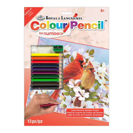 CPN15 - Colour Pencil by numbers™ 13pc 8.75" x 11.75" Cardinals Project