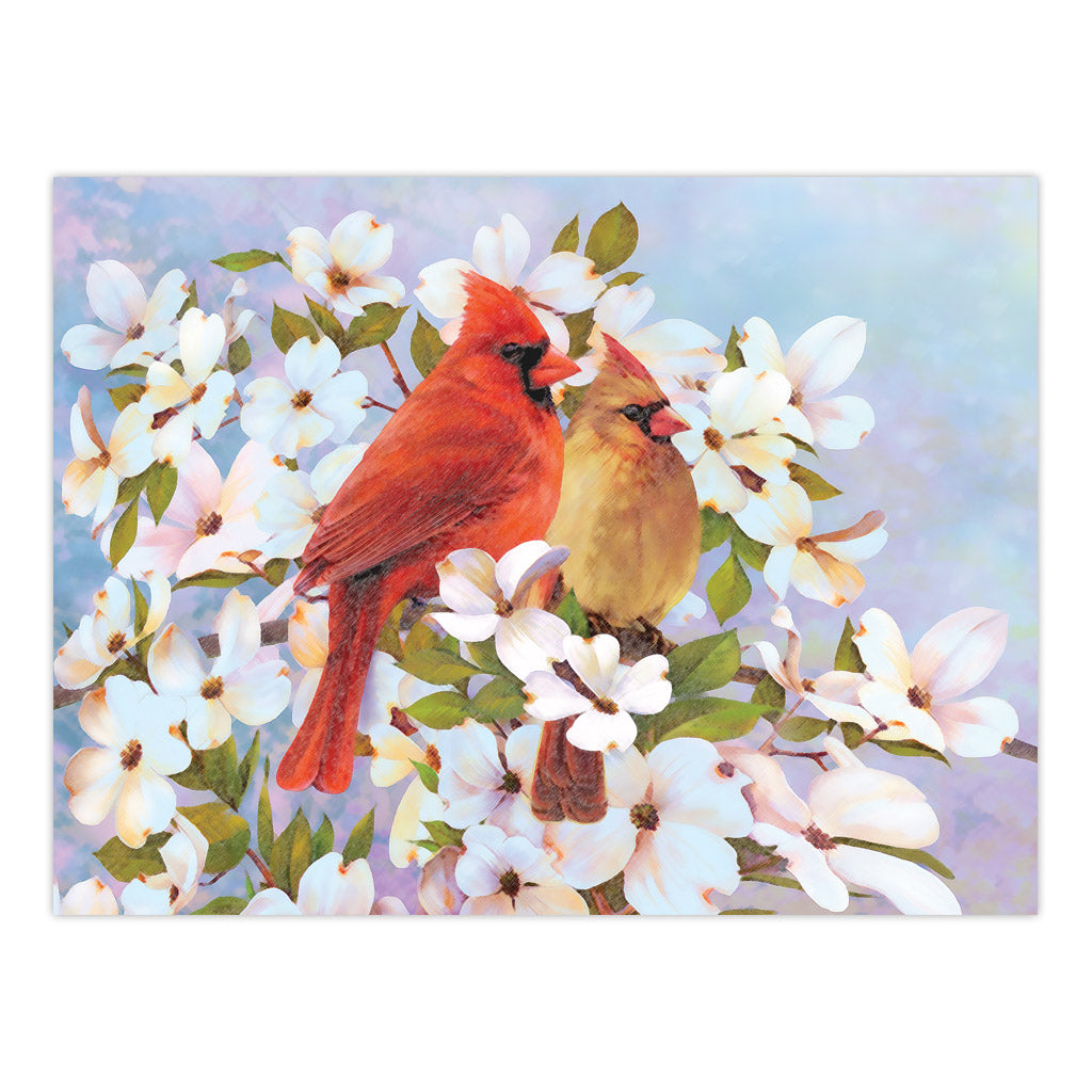 CPN15 | Colour Pencil by numbers™ 13pc 8.75" x 11.75" Cardinals Project