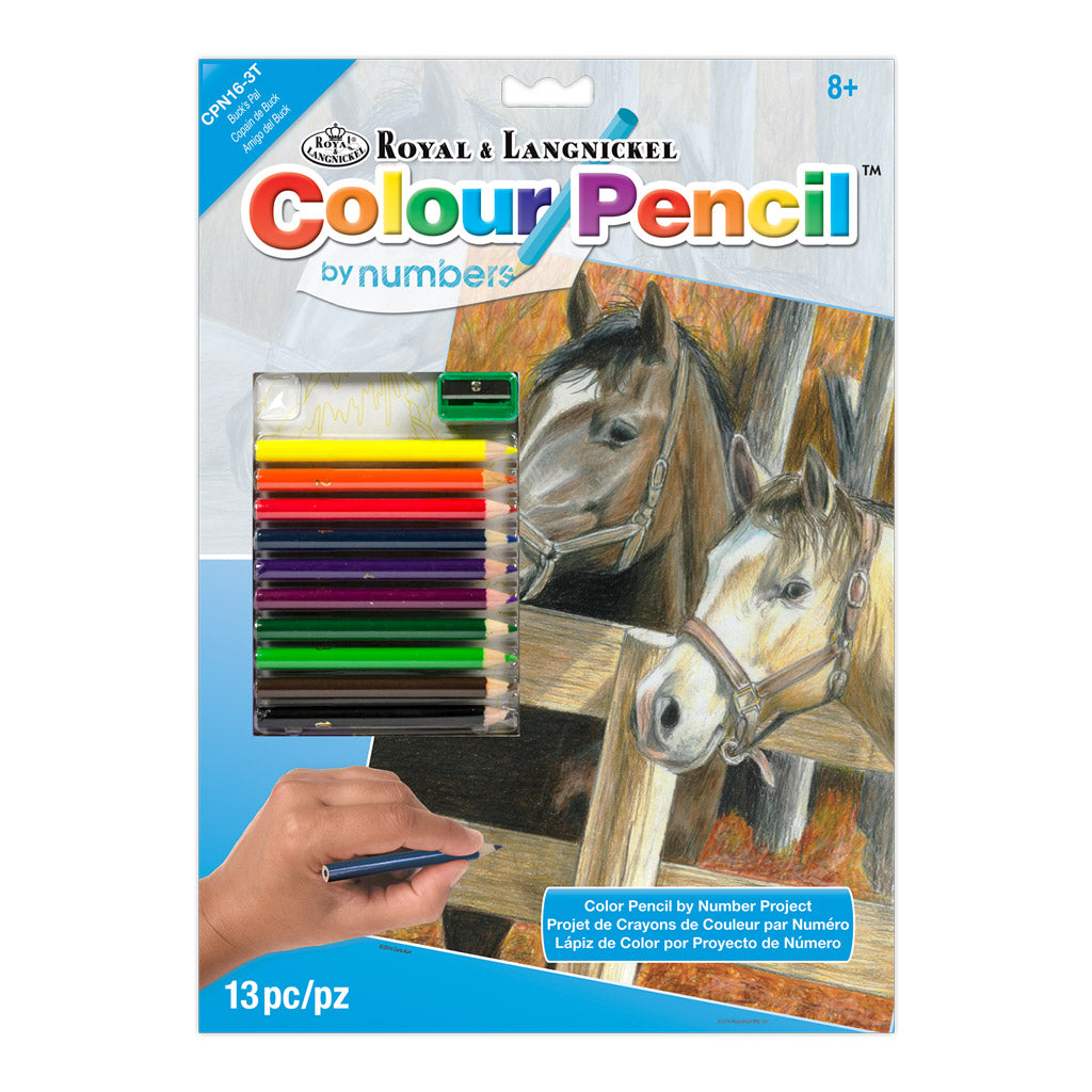 CPN16 - Colour Pencil by numbers™ 13pc 8.75" x 11.75" Buck's Pal Project