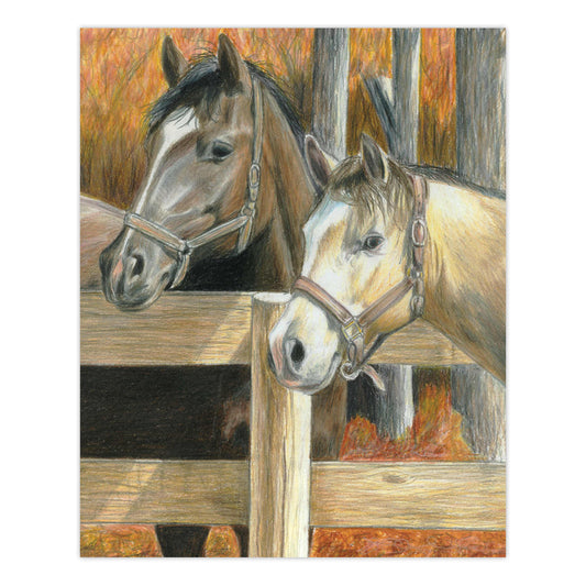 CPN16 | Colour Pencil by numbers™ 13pc 8.75" x 11.75" Buck's Pal Project