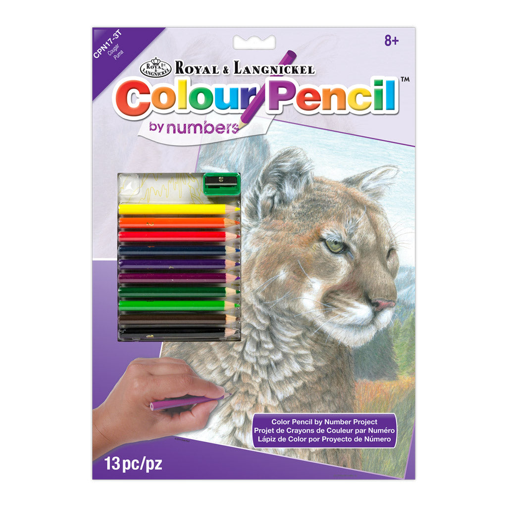 CPN17 - Colour Pencil by numbers™ 13pc 8.75" x 11.75" Cougar Eyes Project