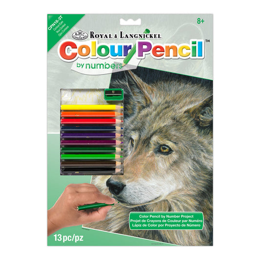 CPN18 - Colour Pencil by numbers™ 13pc 8.75" x 11.75" Curious Eyes Project