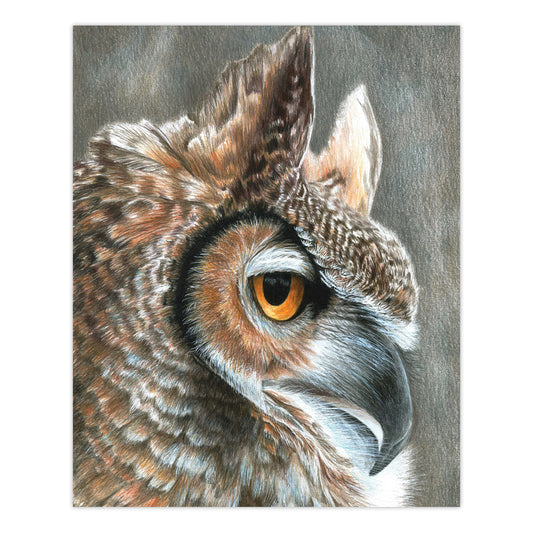 CPN19 | Colour Pencil by numbers™ 13pc 8.75" x 11.75" Sepia Owl Project