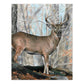 CPN21 | Colour Pencil by numbers™ 13pc 8.75" x 11.75" Whitetail Buck Project