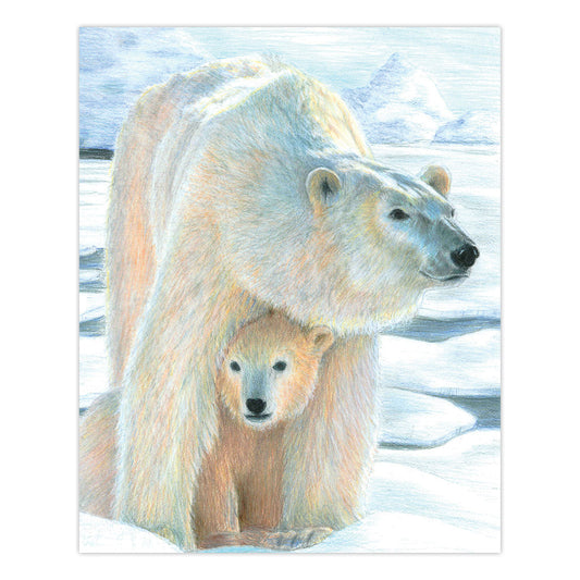 CPN22 | Colour Pencil by numbers™ 13pc 8.75" x 11.75" Polar Love Project