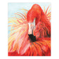 CPN23 | Colour Pencil by numbers™ 13pc 8.75" x 11.75" Flamingo Project