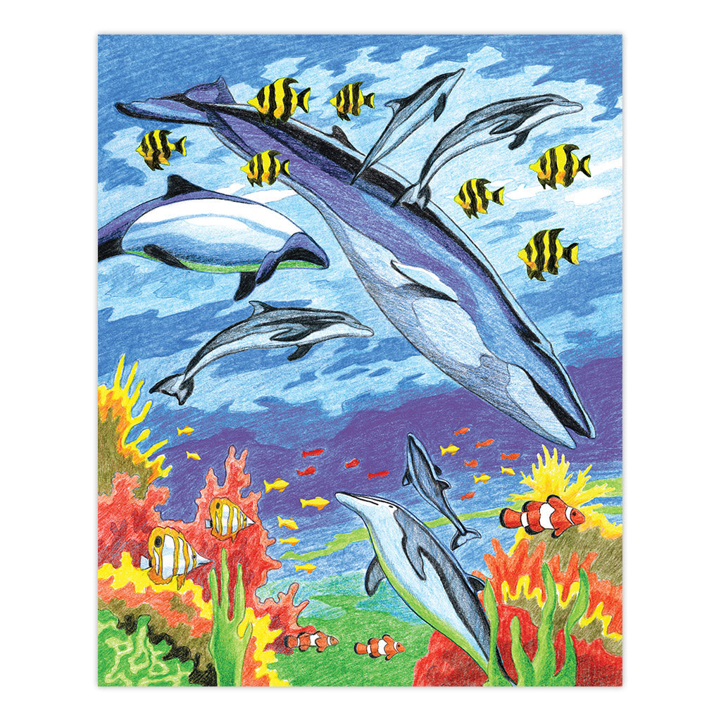 CPN6 | Colour Pencil by numbers™ 13pc 8.75" x 11.75" Sea Animals Project