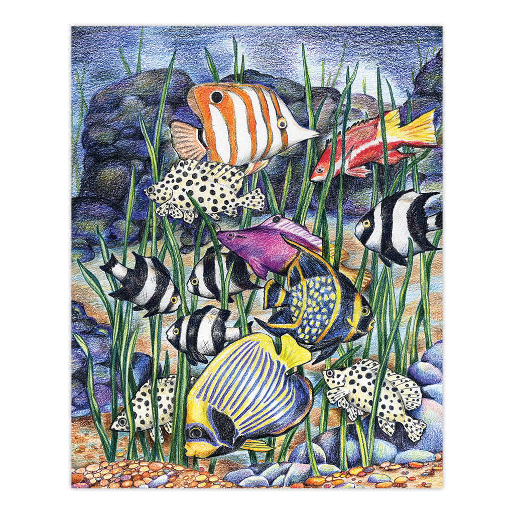 CPN7 | Colour Pencil by numbers™ 13pc 8.75" x 11.75" Tropical Fish Project