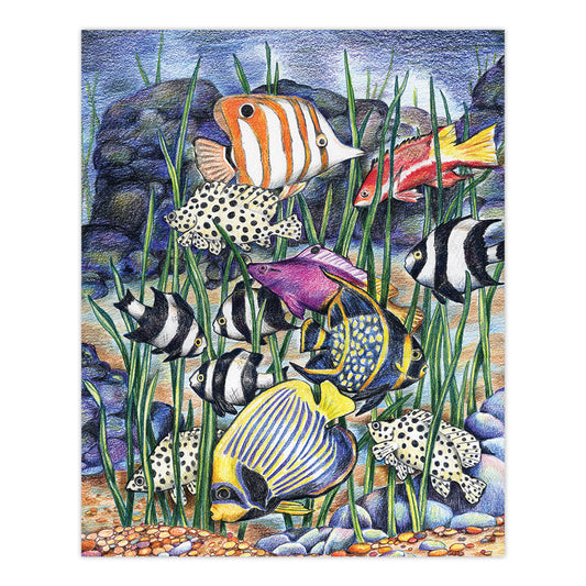 CPN7 | Colour Pencil by numbers™ 13pc 8.75" x 11.75" Tropical Fish Project