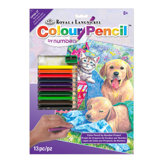 CPN9 - Colour Pencil by numbers™ 13pc 8.75" x 11.75" Wash Day Fun Project