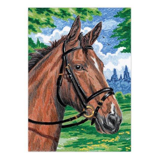 CPNMIN-101 | Colour Pencil by numbers™ 12pc 5" x 7" Horse Project