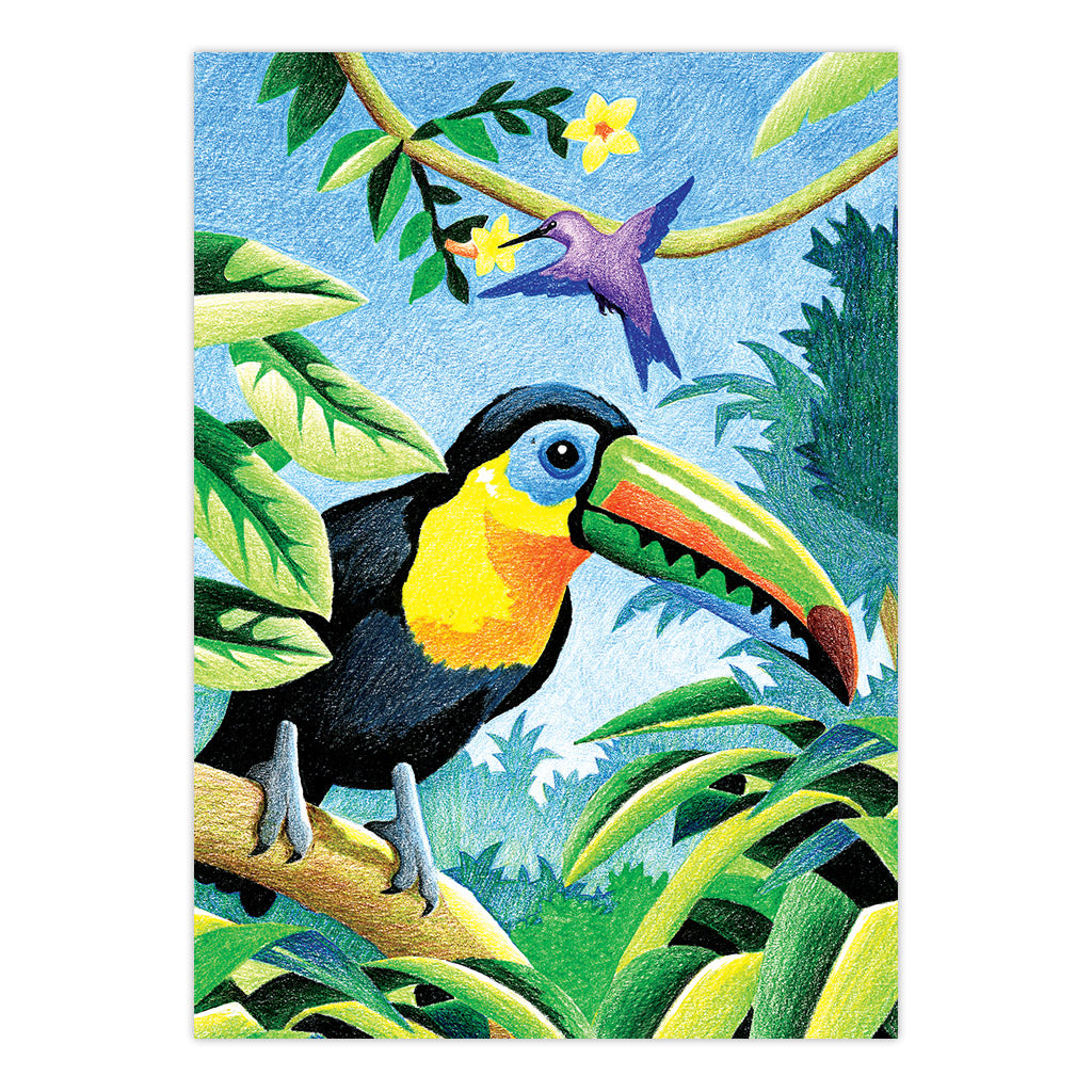 CPNMIN-103 | Colour Pencil by numbers™ 12pc 5" x 7" Tropical Birds Project