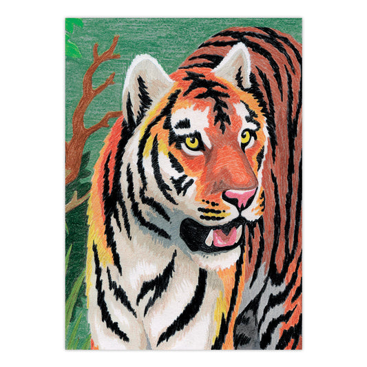 CPNMIN-104 | Colour Pencil by numbers™ 12pc 5" x 7" Jungle Tiger Project