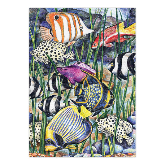 CPNMIN-107 | Colour Pencil by numbers™ 12pc 5" x 7" Tropical Sea Life Project