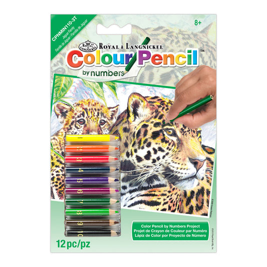 CPNMIN-110 - Colour Pencil by numbers™ 12pc 5" x 7" Jaguars Project