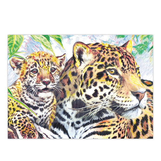 CPNMIN-110 | Colour Pencil by numbers™ 12pc 5" x 7" Jaguars Project