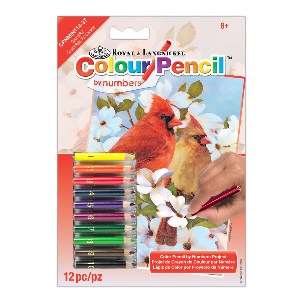 CPNMIN-114 - Colour Pencil by numbers™ 12pc 5" x 7" Cardinal Pair Project