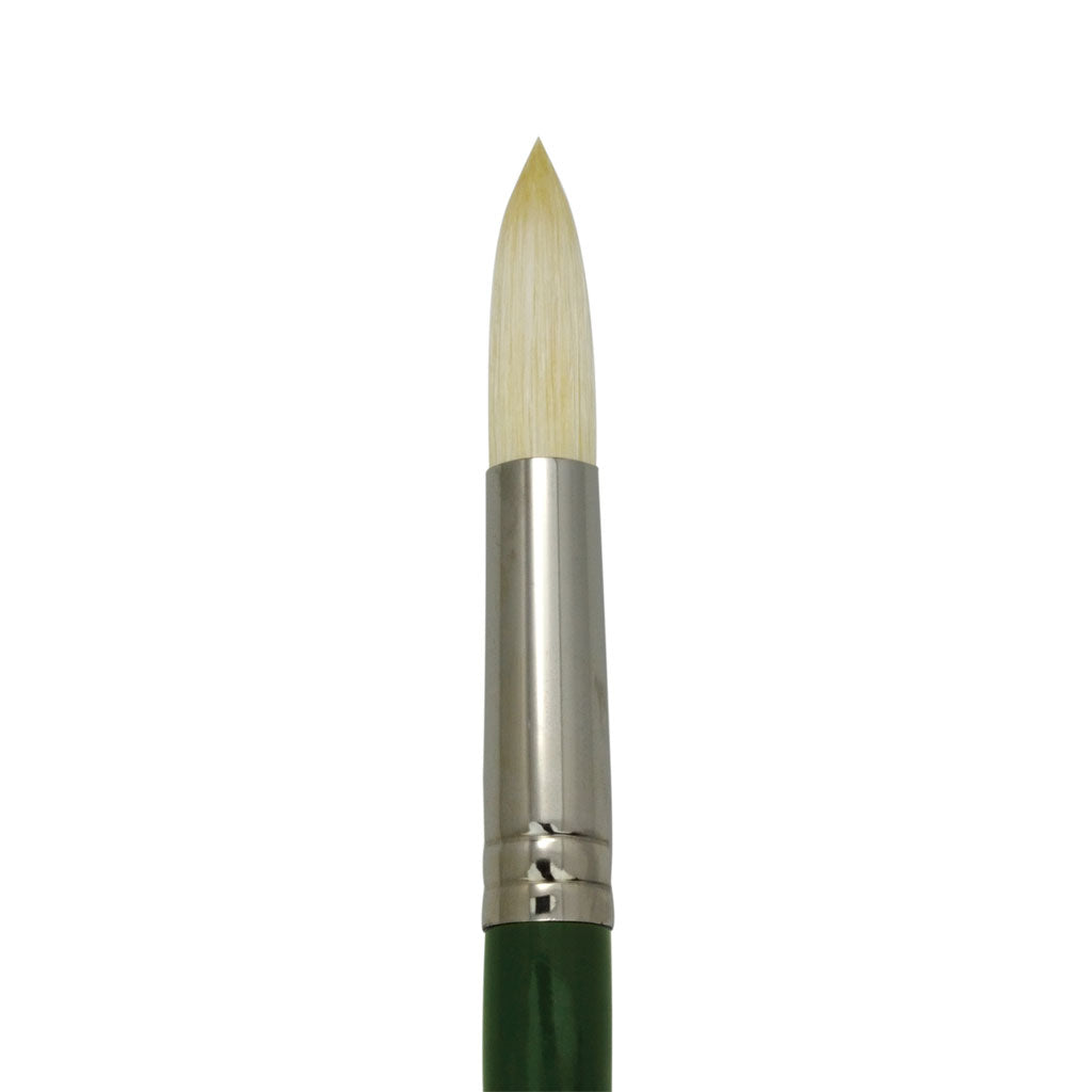 L400R-12 - Regis™ Long Handle Round Brush Size 12