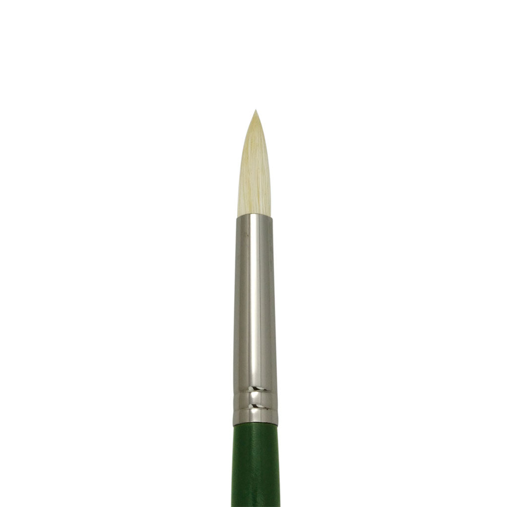 L400R-6 - Regis™ Long Handle Round Brush Size 6