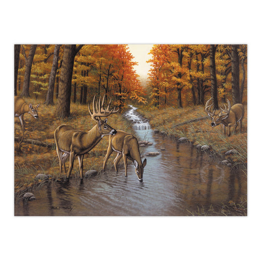 PAL23 | Painting by numbers™ 13pc 11.25" x 13.375" Symond's Creek Painting Project