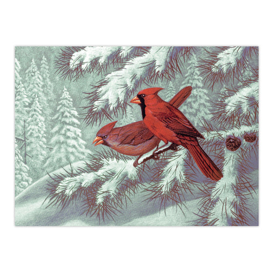 PAL32 | Painting by numbers™ 13pc 11.25" x 13.375" Cardinals Painting Project