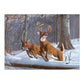 PAL34 | Painting by numbers™ 13pc 11.25" x 13.375" White Tails Painting Project