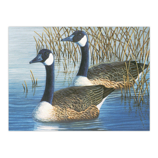 PAL35 | Painting by numbers™ 13pc 11.25" x 13.375" Geese Painting Project