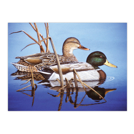 PAL38 | Painting by numbers™ 13pc 11.25" x 13.375" Blue Water Mallards Painting Project