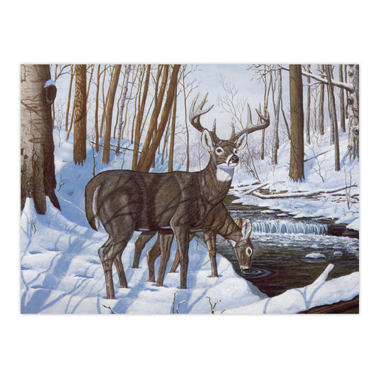 PAL43 | Painting by numbers™ 13pc 11.25" x 13.375" Winter Bliss Painting Project