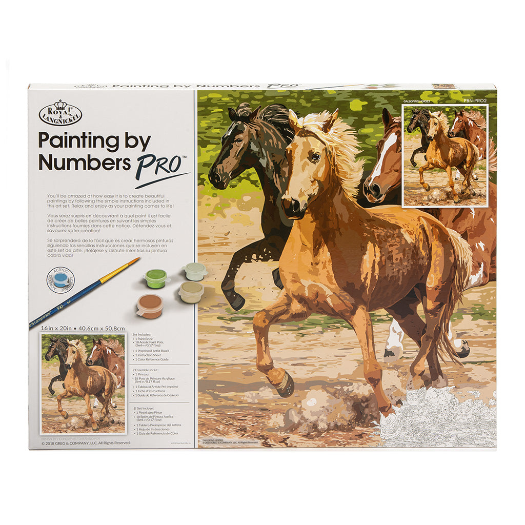 PBN-PRO2 - Painting by Numbers Pro™ 22pc 16" x 20" Galloping Horses Project