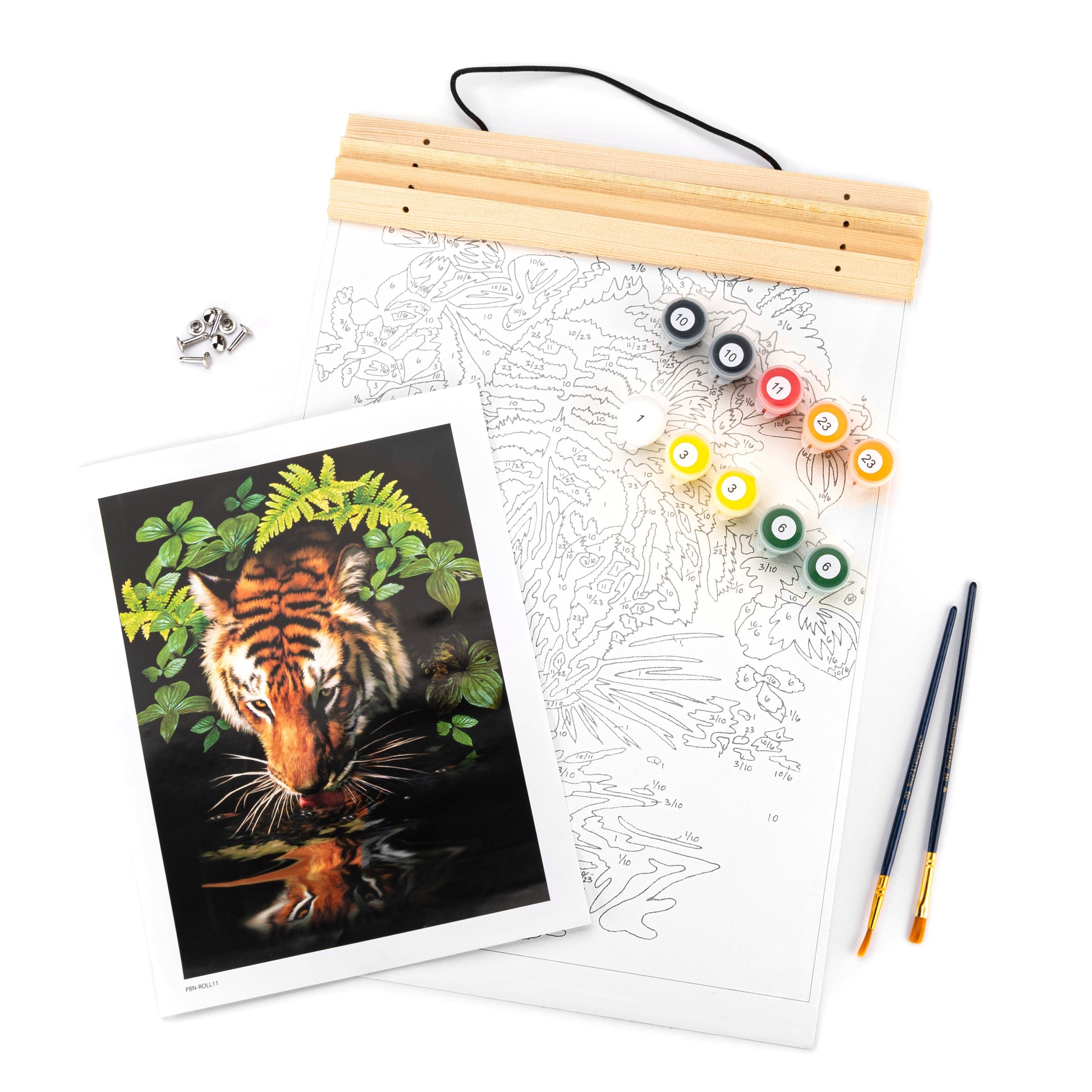 PBN-ROLL11 - Painting by numbers™ 27pc 12" x 16" Thirsty Tiger Canvas