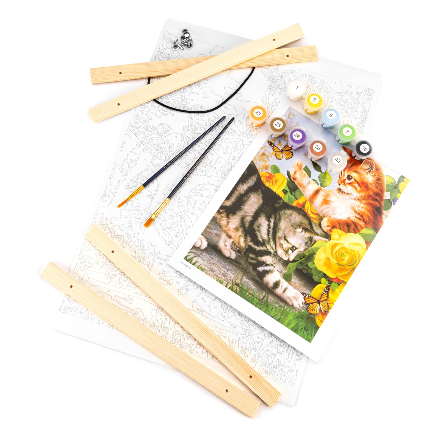 PBN-ROLL5 - Painting by numbers™ 27pc 12" x 16" Kitten Play Canvas