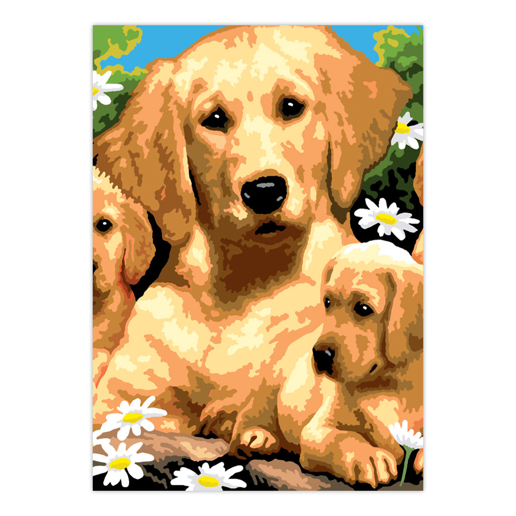 PBN-SET43 | Painting by numbers™ 21pc 8.75" x 11.75" Small Dogs Painting Project 3-Pack