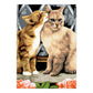 PBN-SET45 | Painting by numbers™ 21pc 8.75" x 11.75" Small Cats Painting Project 3-Pack