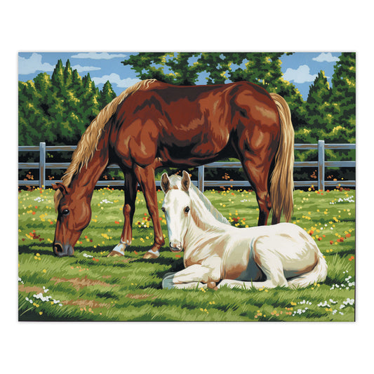 PCL2 | Painting by numbers™ 13pc 11" x 14" Horses in Field Canvas Painting Project