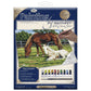 PCL2 - Painting by numbers™ 13pc 11" x 14" Horses in Field Canvas Painting Project