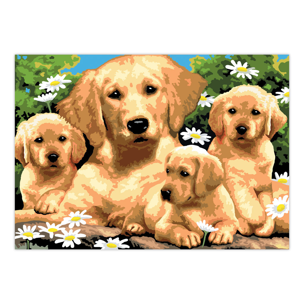 PJL12 | Painting by numbers™ 13pc 11.25" x 15.375" Golden Retriever Puppies Painting Project